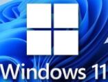 Win11网络延迟高怎解决  Win11网络延迟高的两种解决办法