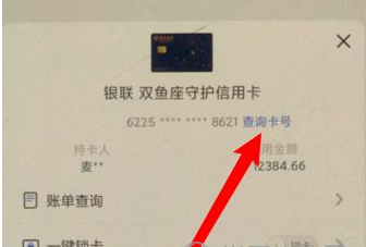 掌上生活怎么查询卡号 掌上生活卡号完整信息查看方法