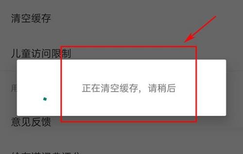 有道词典如何清空缓存文件 有道词典清空缓存文件教程