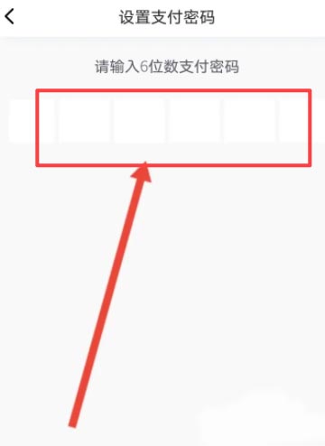 神州租车app怎么设置支付密码 神州租车设置支付密码教程