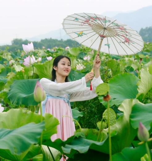 樱花草视频在线观看视频免费观看放开所有限制？网友：早该如此了！