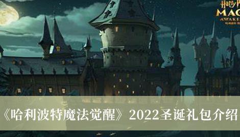 哈利波特魔法觉醒2022圣诞礼包介绍 2022圣诞礼包有哪些