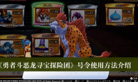 勇者斗恶龙寻宝探险团号令使用方法 号令怎么使用