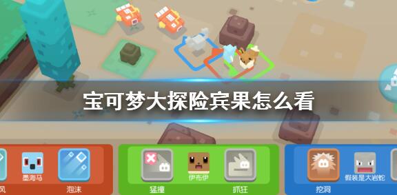 宝可梦大探险宾果怎么看 宝可梦大探险宾果查看方法