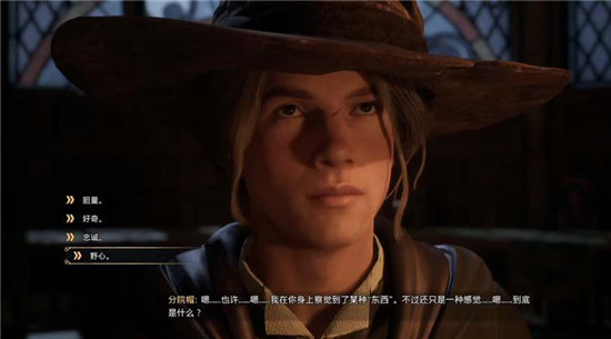 霍格沃兹之遗分院帽如何选择 霍格沃兹之遗分院帽选取指南