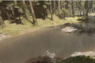 森林之子在哪喝水 森林之子取水位置攻略分享