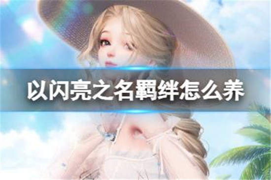 以闪亮之名羁绊怎么养 以闪亮之名羁绊养成方法