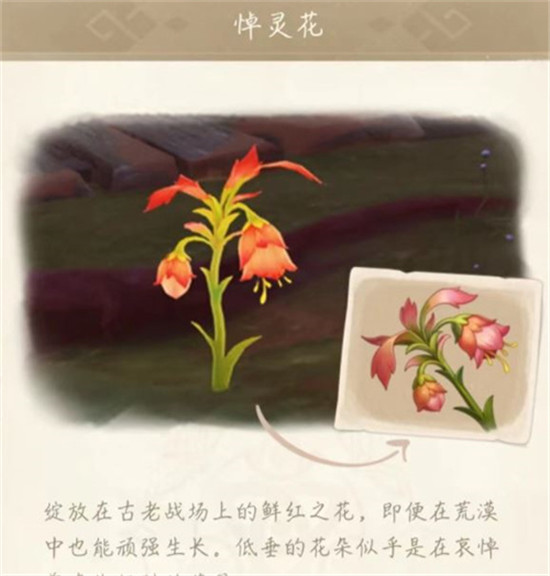 原神悼灵花刷新机制是怎么样的 原神悼灵花刷新机制详细分析