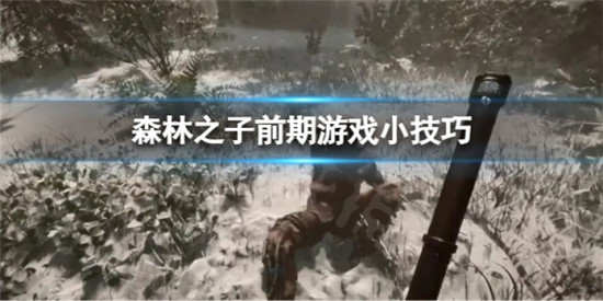 森林之子游戏前期怎么玩 森林之子前期游戏小技巧
