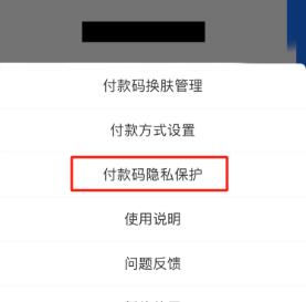 支付宝自动隐藏付款码怎么设置 支付宝开启付款码隐私保护功能教程一览