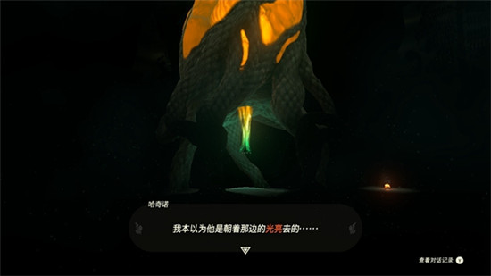 塞尔达传说王国之泪地底世界太暗怎么办 王国之泪照亮地底世界方法
