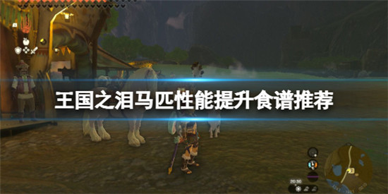 塞尔达传说王国之泪马匹喂食什么料理 王国之泪马匹性能提升食谱推荐