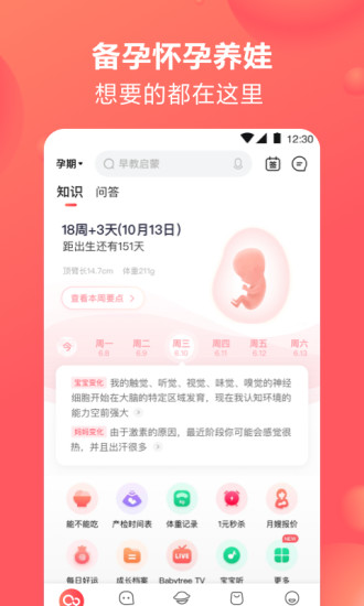 宝宝树孕育APP下载